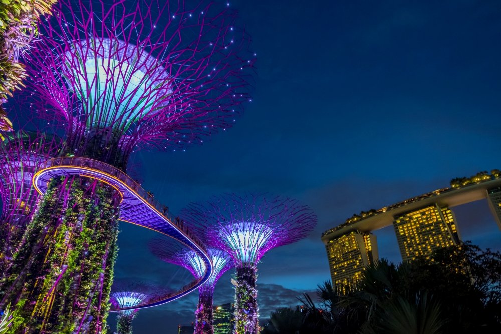 View of Garden by the bay at night - Singapore.