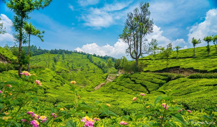 munnar